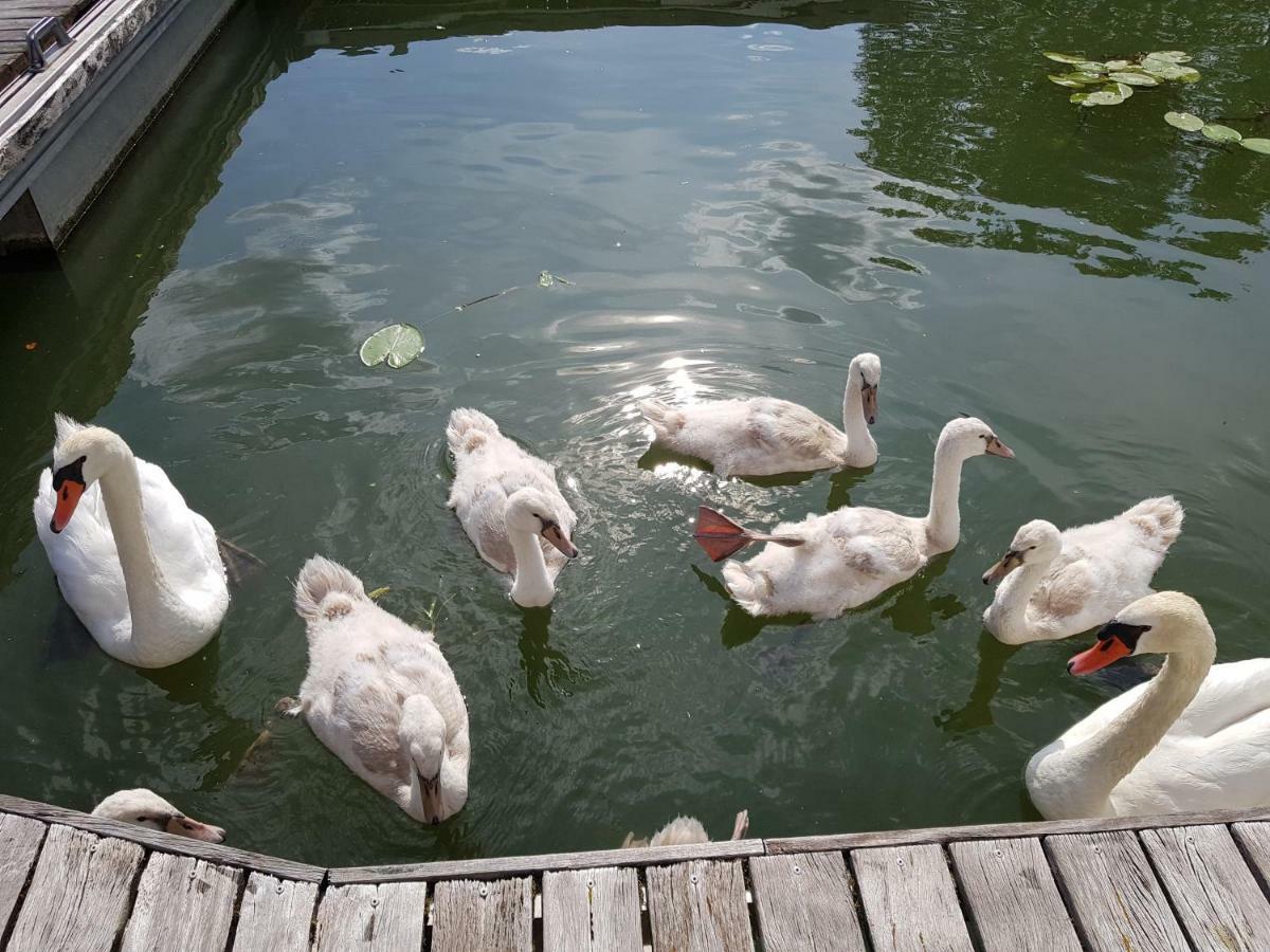 Botel Flottant Jean De Losne Option Jacuzzi *